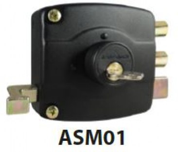ASM01